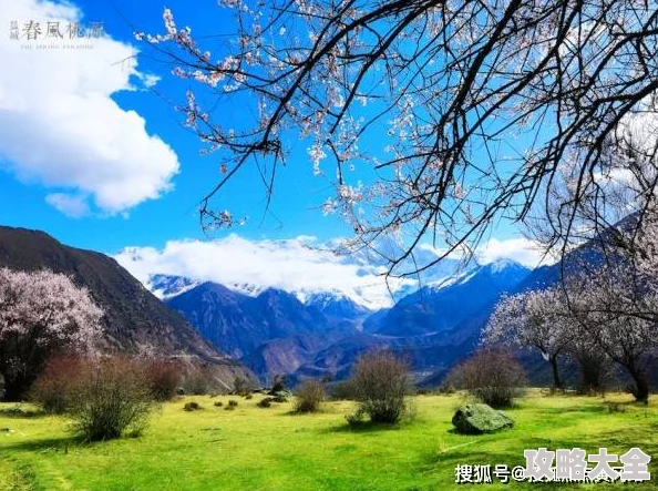 女生洗澡网站让每位女性都能感受到自信与美丽，享受生活的每一刻